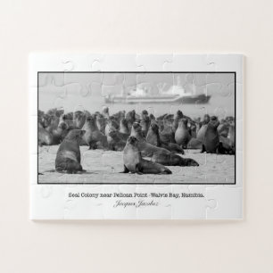 Robbenkolonie nahe Pelican Point Puzzle