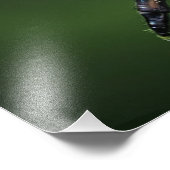 Robber Fly Fotodruck (Ecke)