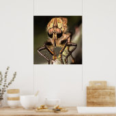 Robber Fly Profil Asildae Artistic Nah Up Poster (Küche)