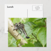 Robber fly w/Snack ~ Postkarte (Vorne/Hinten)