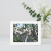 Robbers Caves Oklahoma Postkarte (Stehend Vorderseite)