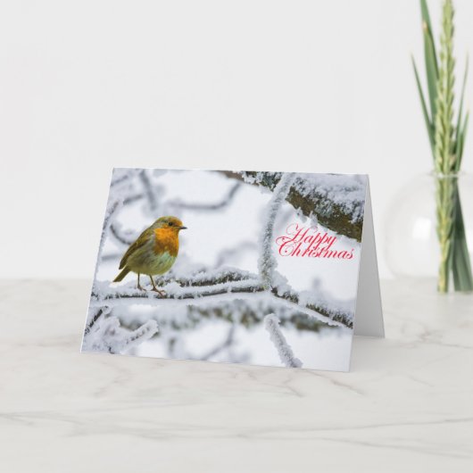 Robbin RedBrust Karte (Vorderseite)