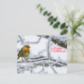 Robbin RedBrust Postkarte (Stehend Vorderseite)