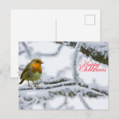 Robbin RedBrust Postkarte (Vorne/Hinten)
