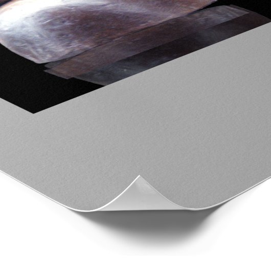 ROBBY und Bull #2 Poster (Ecke)