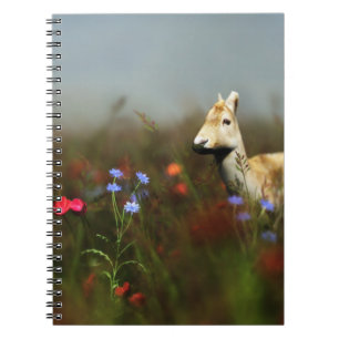 Robe in einem Wiese-Notebook Notizblock