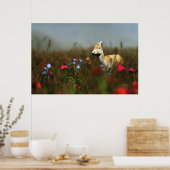 Robe in einer Wiese Print Poster (Küche)