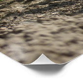 Robe und rosa Tulpen mit Blue Sky Poster (Ecke)