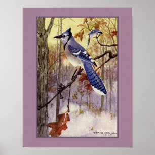 Robert Bruce Horsfall Blauhäher Faux-Matt Poster