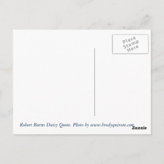 Robert Burns Daisy Quote Postkarte (Rückseite)