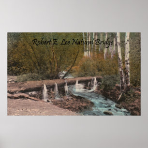 Robert E. Lee Natural Bridge Poster