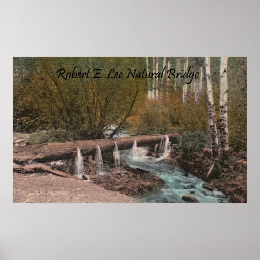 Robert E. Lee Natural Bridge Poster (Vorne)