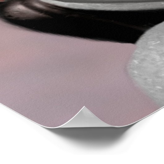 Robert E. Lee Poster (Ecke)