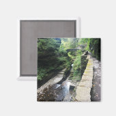 Robert h. treman Staat Park Bridge Magnet (Vorderseite/Rückseite)