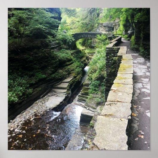 Robert h. treman Staat Park Bridge Poster (Vorne)