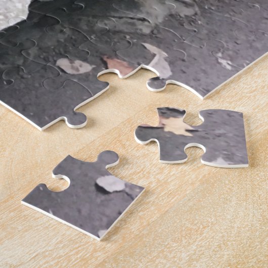 Robert h. treman Staat Park Bridge Puzzle (Seite)