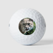 Robert J. Bobcat Golfball (Vorderseite)