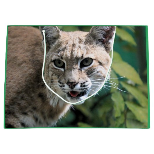Robert J. Bobcat Große Geschenktüte (Vorderseite)