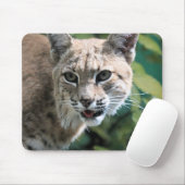Robert J. Bobcat Mousepad (Mit Mouse)