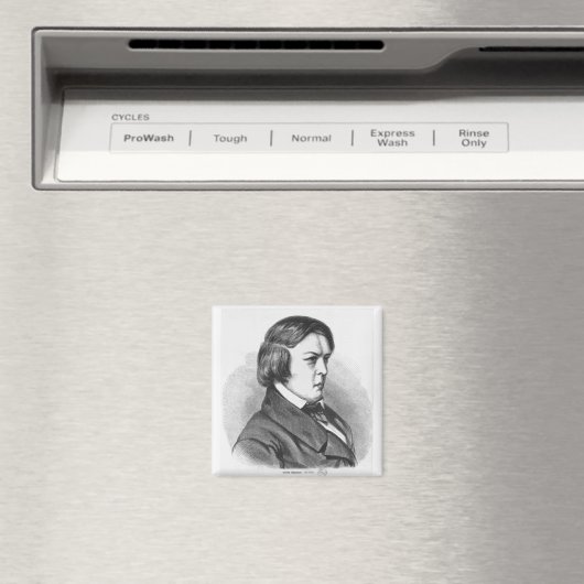 Robert Schumann Magnet (In Situ (Geschirrspüler))