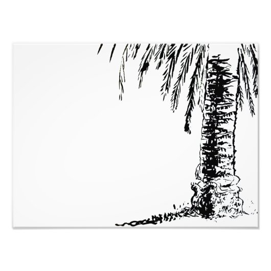 Roberts Tree Fotodruck (Vorne)