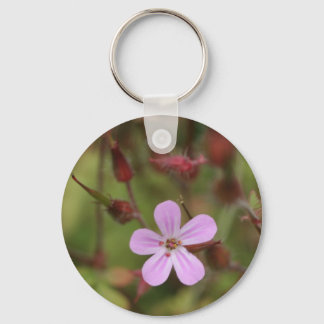 robertskruid schlüsselanhänger