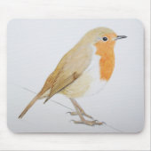 Robin 2011 mousepad (Vorne)