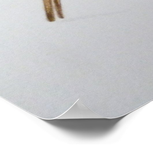 Robin 2011 poster (Ecke)