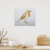 Robin 2011 poster (Küche)