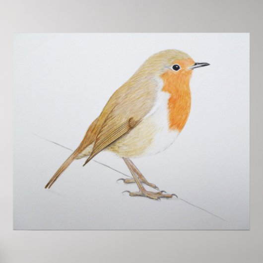 Robin 2011 poster (Vorne)