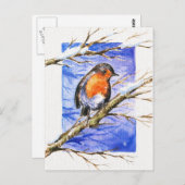 Robin 3 postkarte (Vorne/Hinten)
