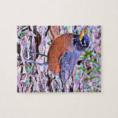 Robin (American Robin) Puzzle (Horizontal)