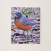 Robin (American Robin) Puzzle (Vertikal)