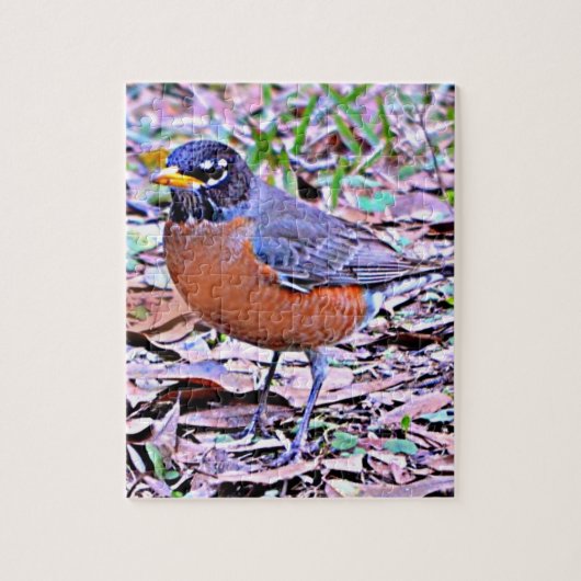 Robin (American Robin) Puzzle (Vertikal)