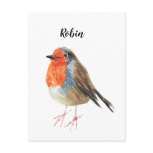 Robin Aquarell bemalt Vogel. Gute Karte.