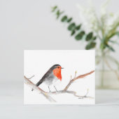 Robin Aquarell Weihnachtskunst Feiertagspostkarte (Stehend Vorderseite)