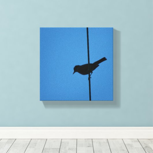 Robin auf Draht Leinwanddruck (Insitu (Holzboden))