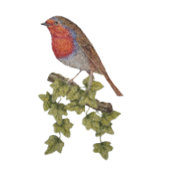 Robin auf Efeu-Laub-Wildvogel Truckerkappe