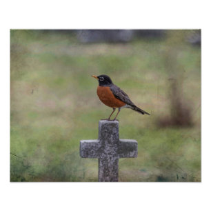 Robin auf einem Kreuz Fotodruck