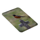 Robin auf einem Kreuz Magnet (Rechte Seite)