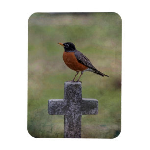 Robin auf einem Kreuz Magnet