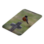 Robin auf einem Kreuz Magnet (Linke Seite)