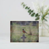 Robin auf einem Kreuz Postkarte (Stehend Vorderseite)
