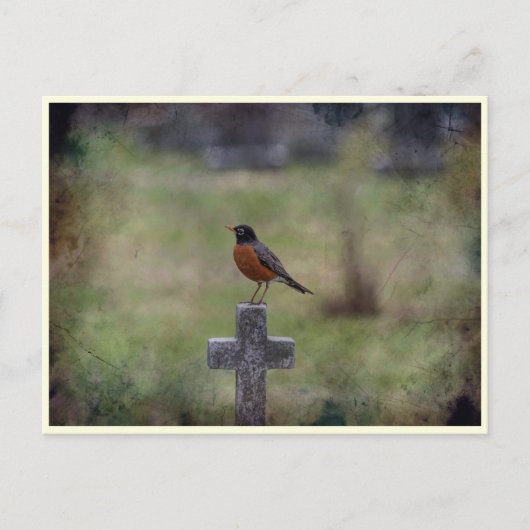 Robin auf einem Kreuz Postkarte (Vorderseite)