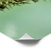 Robin auf einem moobedeckten Baumzweig Poster (Ecke)