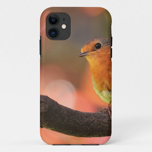 Robin auf einem Zweig Case-Mate iPhone Hülle (Rückseite)