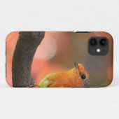 Robin auf einem Zweig Case-Mate iPhone Hülle (Rückseite (Horizontal))