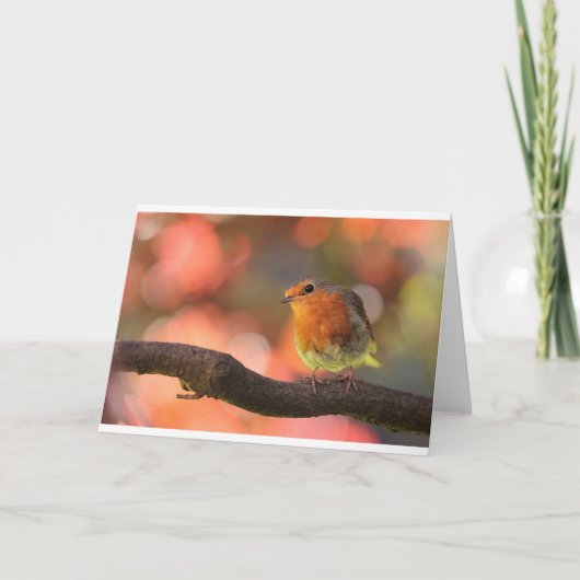 Robin auf einem Zweig Feiertagskarte (Vorderseite)