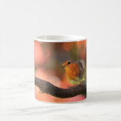Robin auf einem Zweig Kaffeetasse (Mittel)