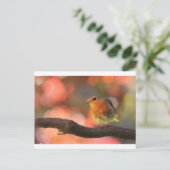 Robin auf einem Zweig Postkarte (Stehend Vorderseite)